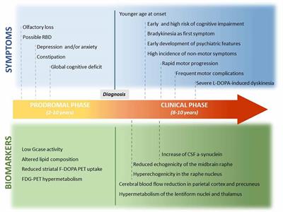 Glucocerebrosidase Defects as a Major Risk Factor for Parkinson’s Disease